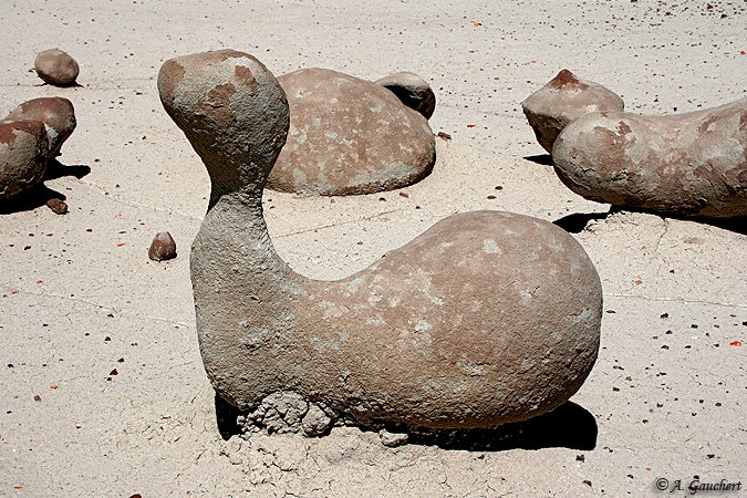 Stone Duck